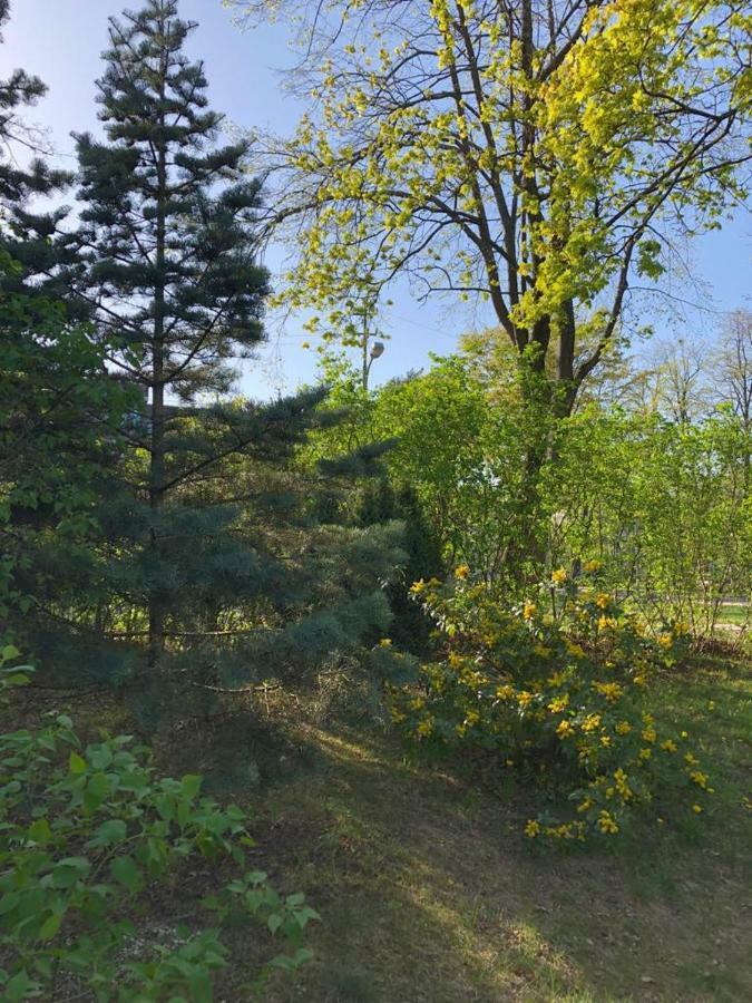 Готель Vila Bohema Palanga - 4 Apartamentu Vila Kestucio G. 11 Екстер'єр фото